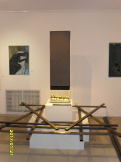Выставка «СПАМ» в Липецке 6